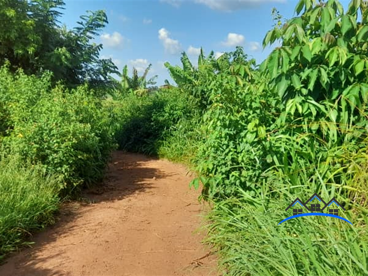 Agricultural Land for sale in Nambere Luweero