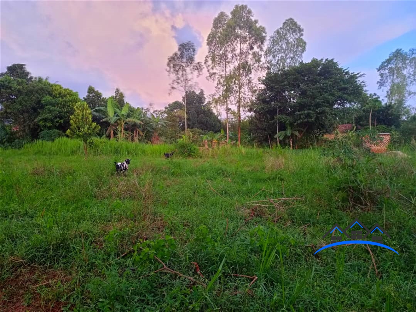 Residential Land for sale in Nyanja Wakiso