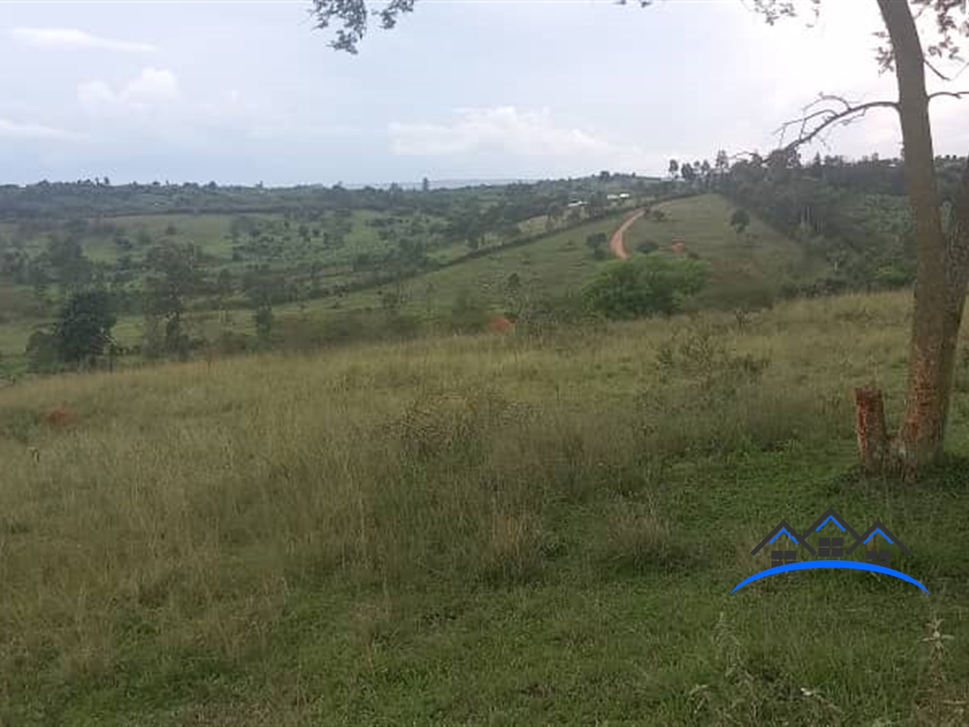 Farm for sale in Rubindi Mbarara