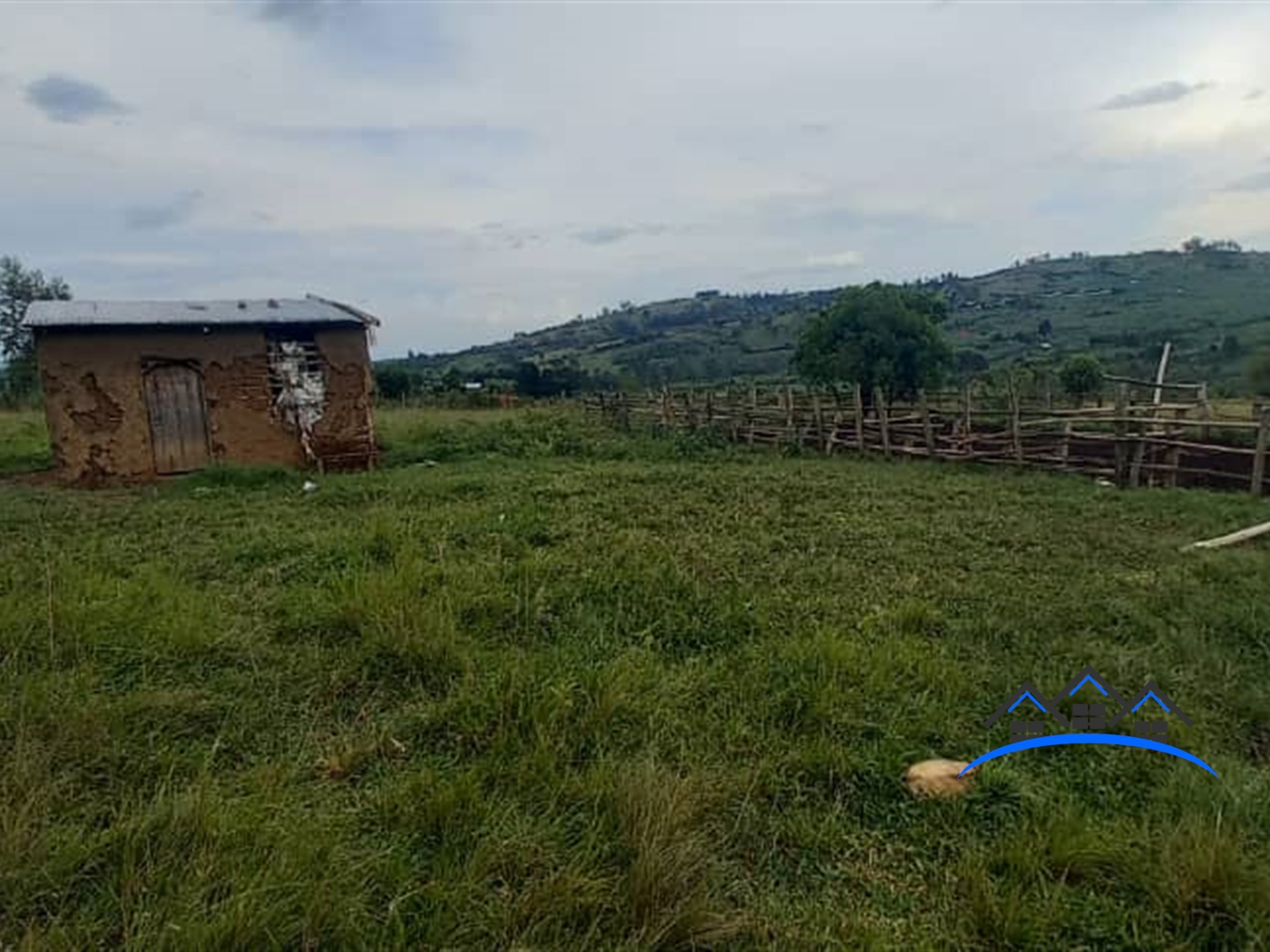 Farm for sale in Rubindi Mbarara
