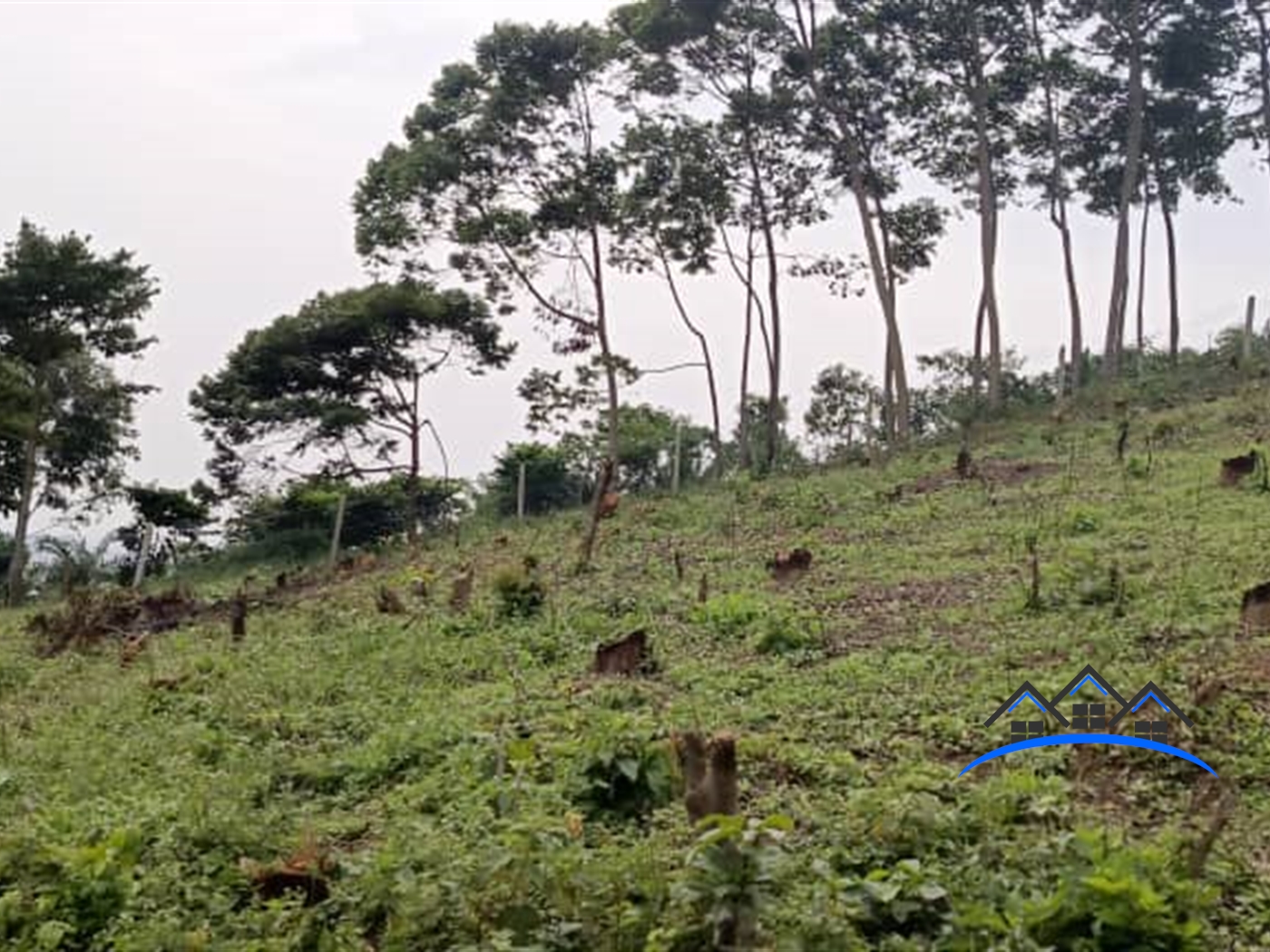 Agricultural Land for sale in Nsuube Wakiso