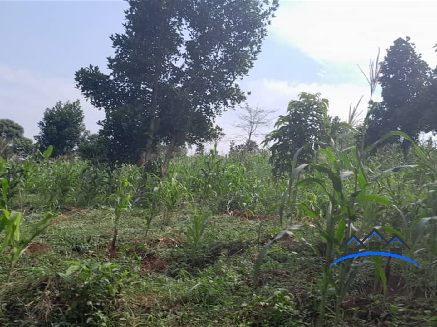 Agricultural Land for sale in Katwe Buyikwe