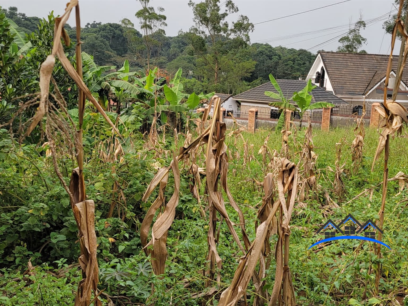 Residential Land for sale in Kira Wakiso