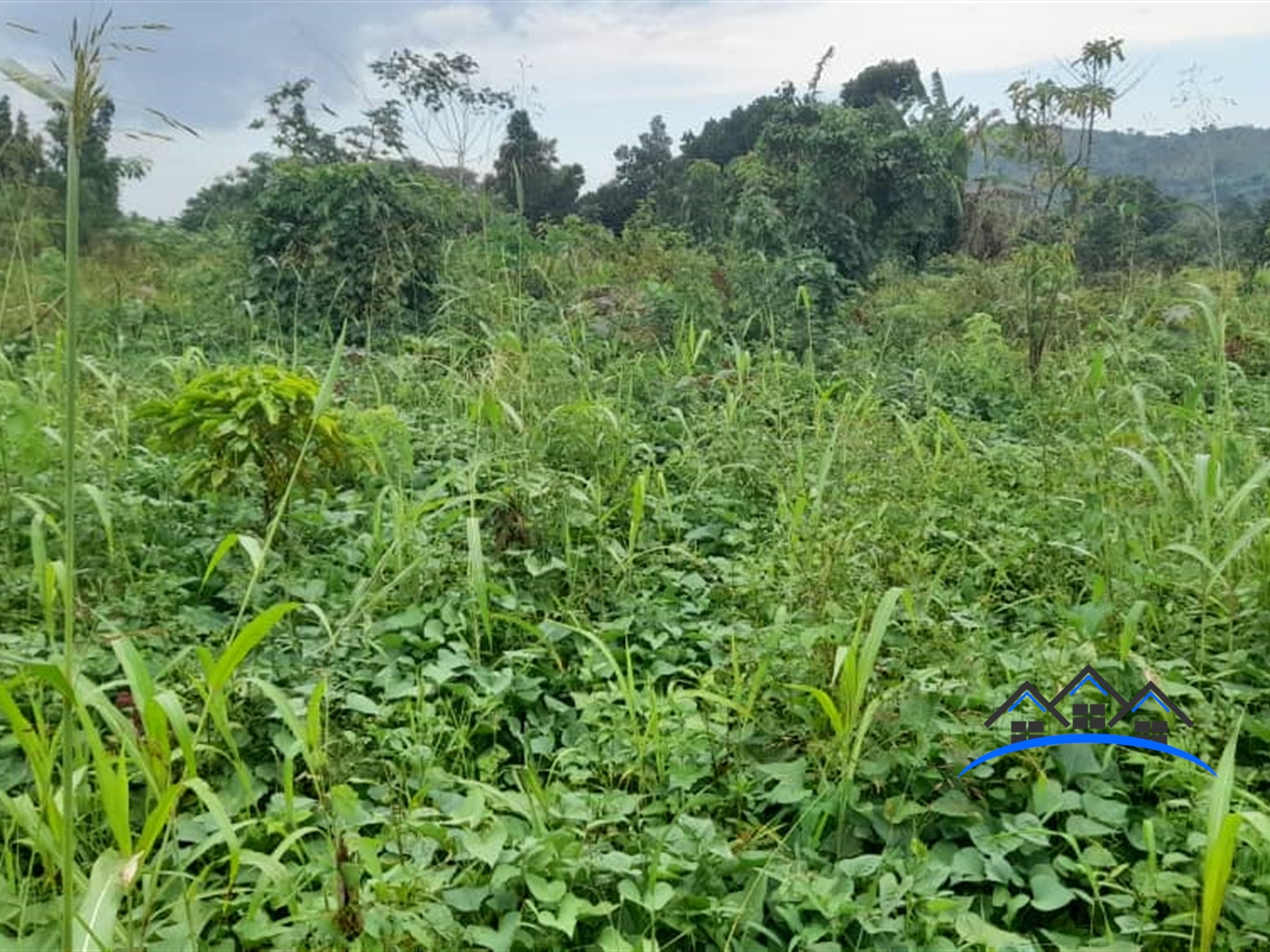 Agricultural Land for sale in Buteera Nakasongola