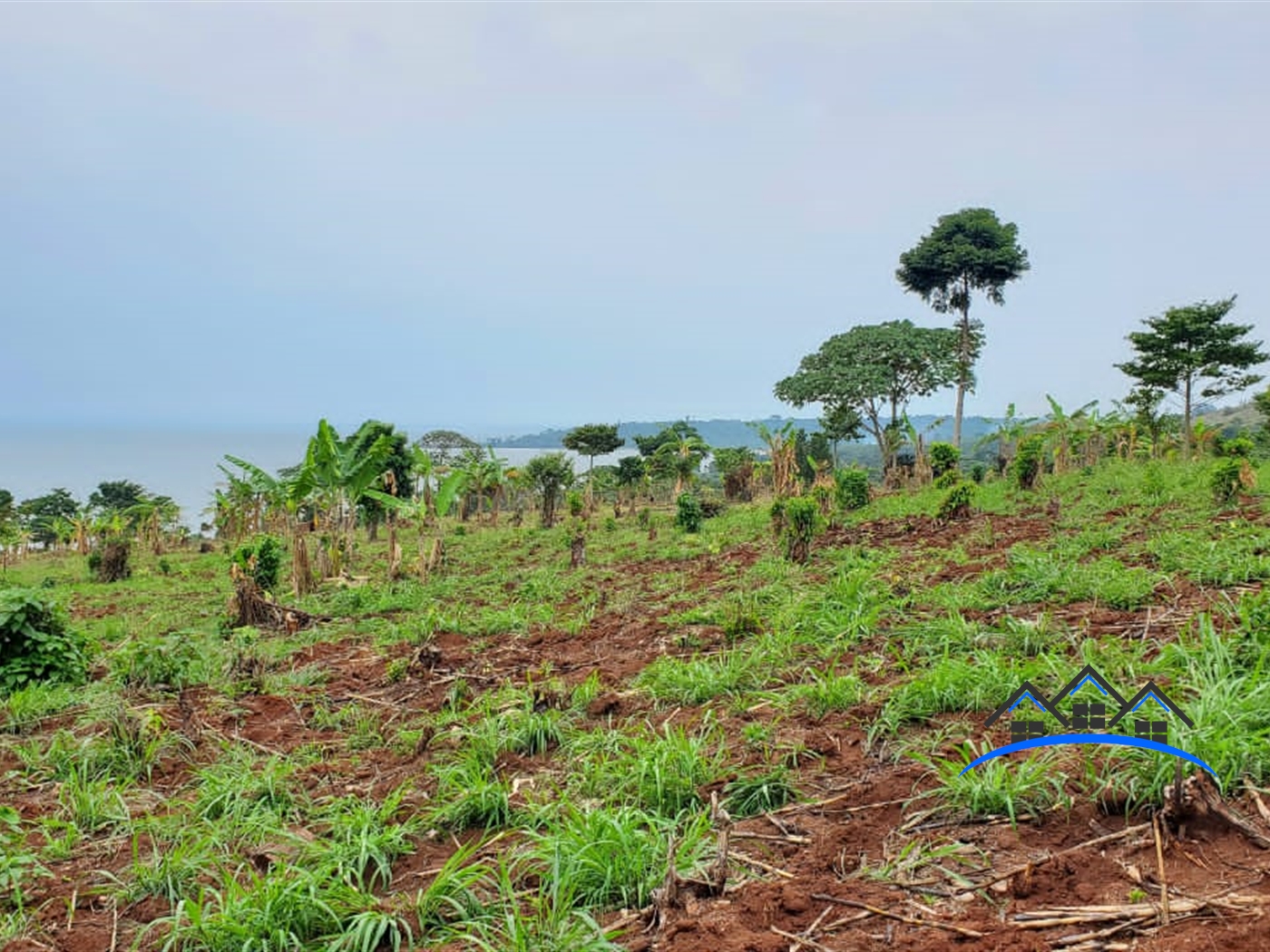Agricultural Land for sale in Ggaba Wakiso