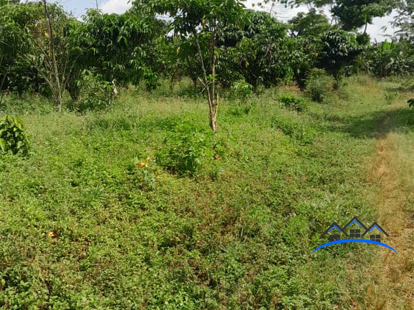 Agricultural Land for sale in Matugga Wakiso