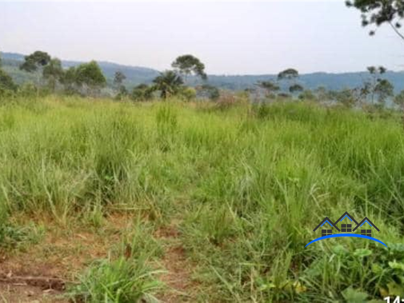 Farm for sale in Bbaale Kayunga