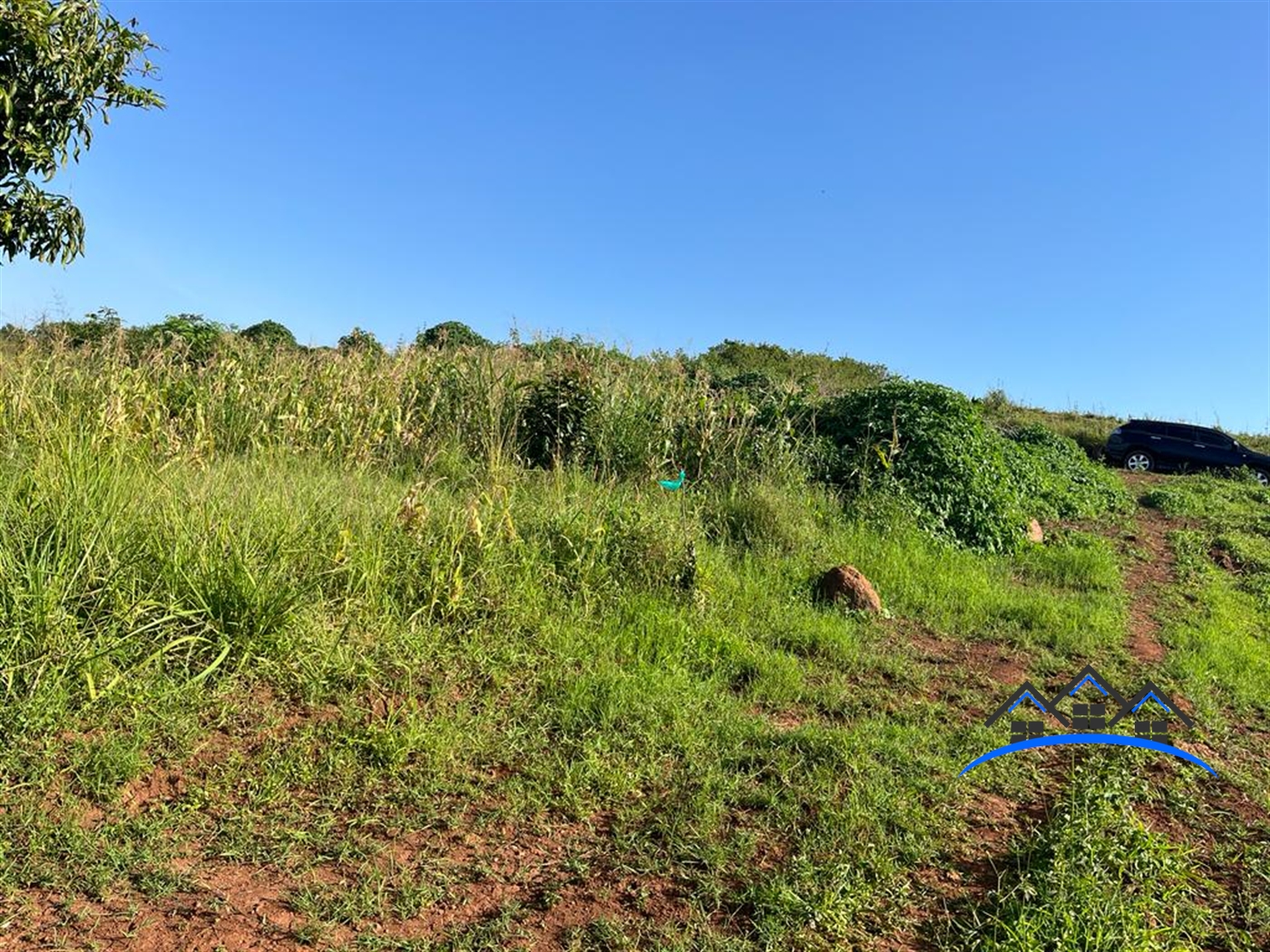 Farm for sale in Kisoga Mukono