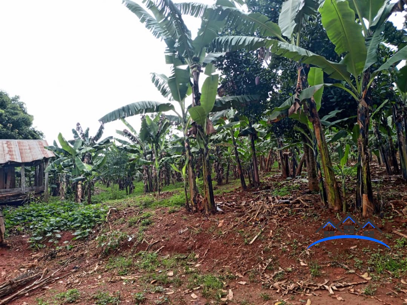 Agricultural Land for sale in Mubango Wakiso