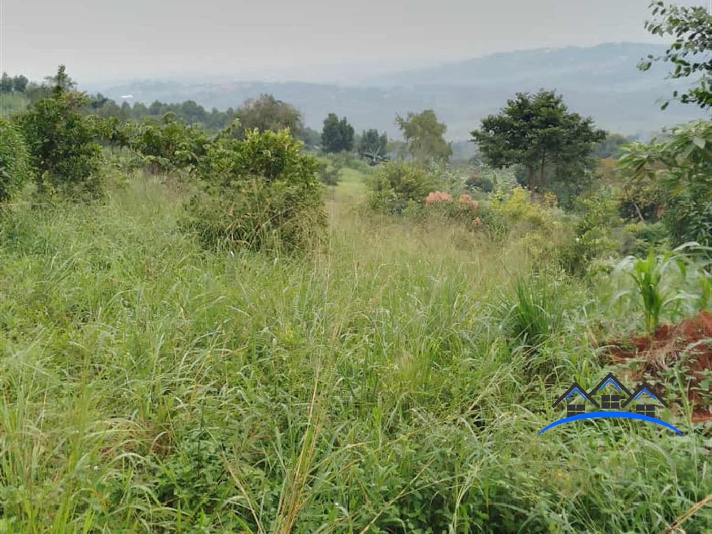 Agricultural Land for sale in Nazzigo Kayunga