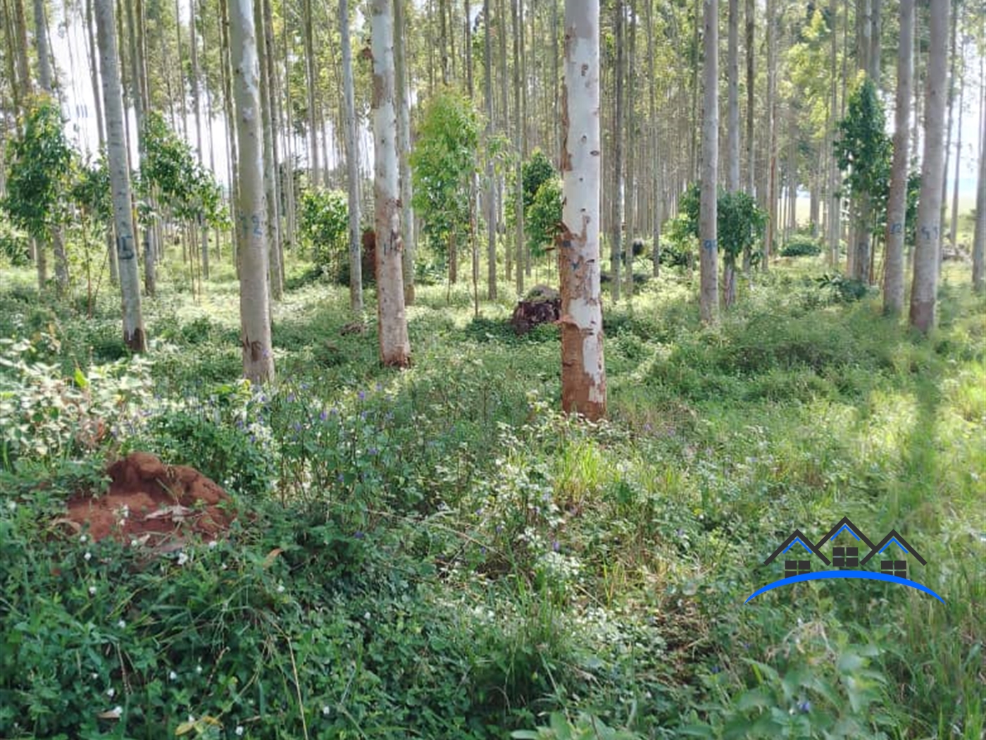 Joint investment land for sale in Nakawuka Wakiso
