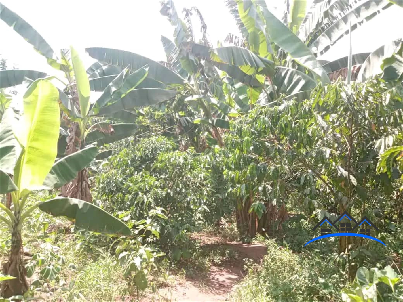 Joint investment land for sale in Ssemuto Wakiso