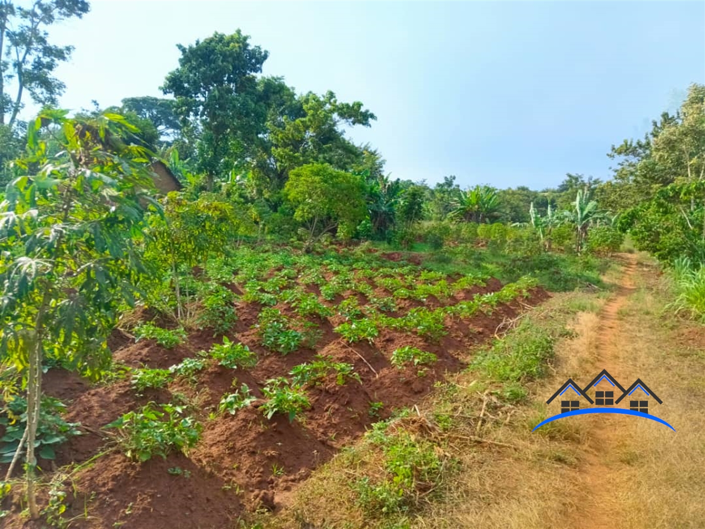 Agricultural Land for sale in Nsanja Mukono