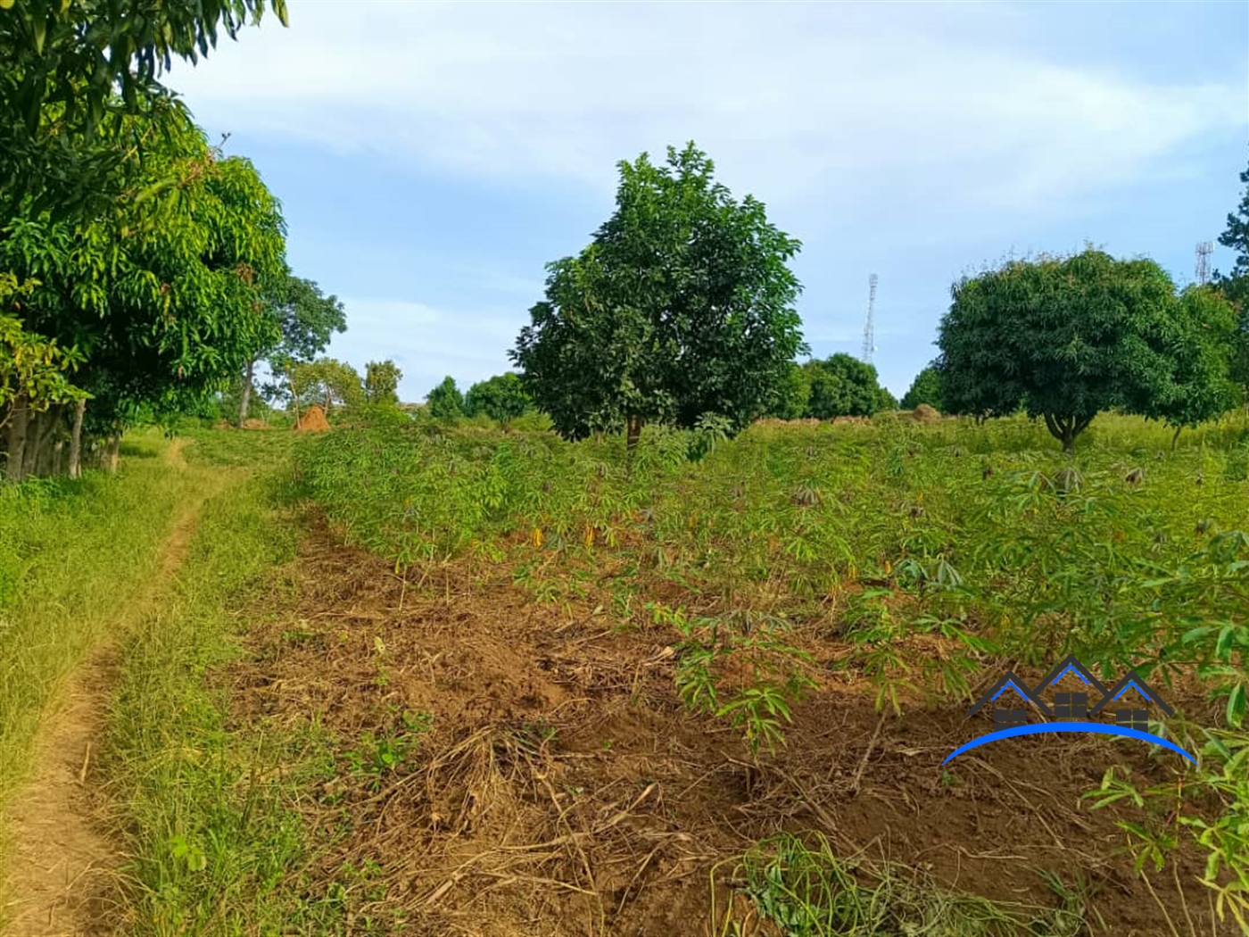 Agricultural Land for sale in Nsanja Mukono