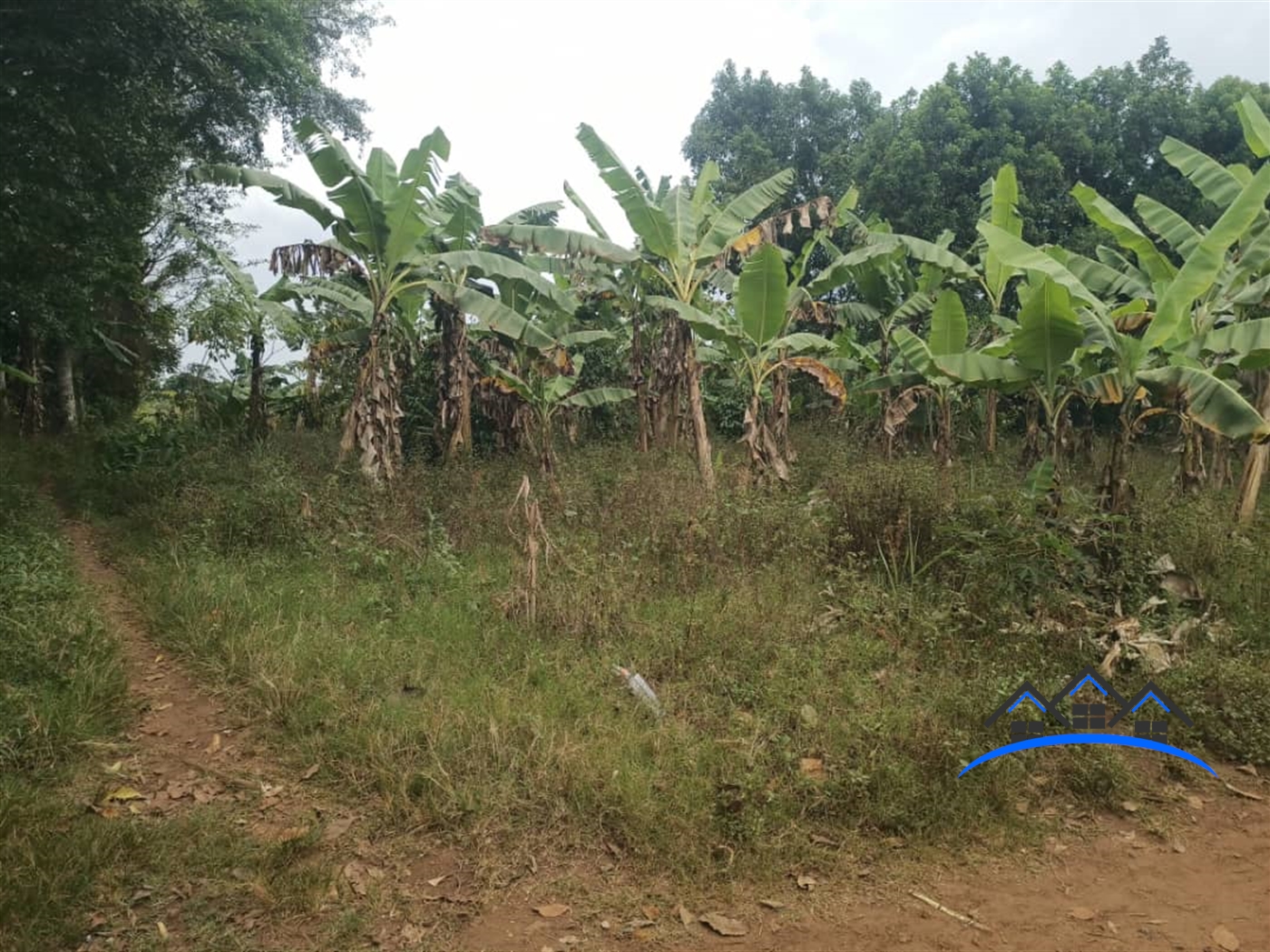Residential Land for sale in Naama Mityana