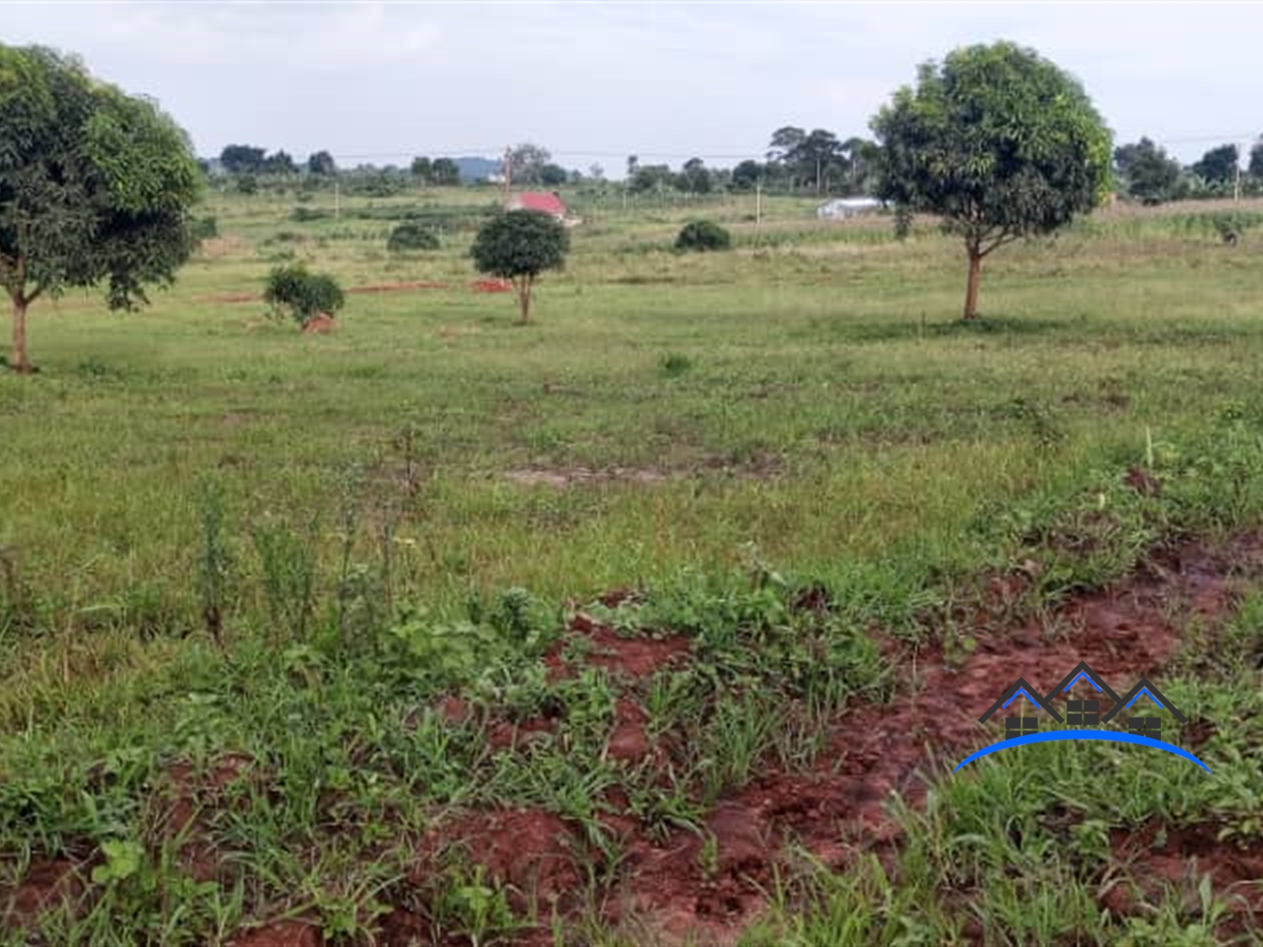 Farm for sale in Vvumba Luweero
