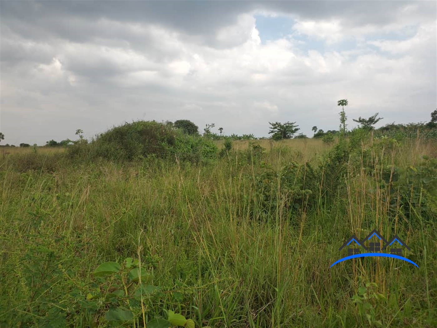 Joint investment land for sale in Kamengo Mpigi
