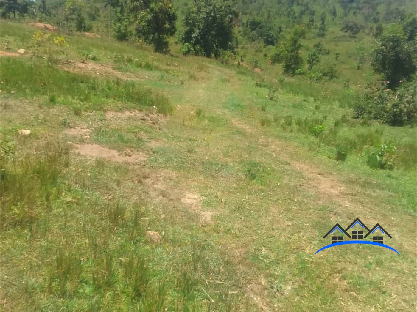 Joint investment land for sale in Kamengo Mpigi