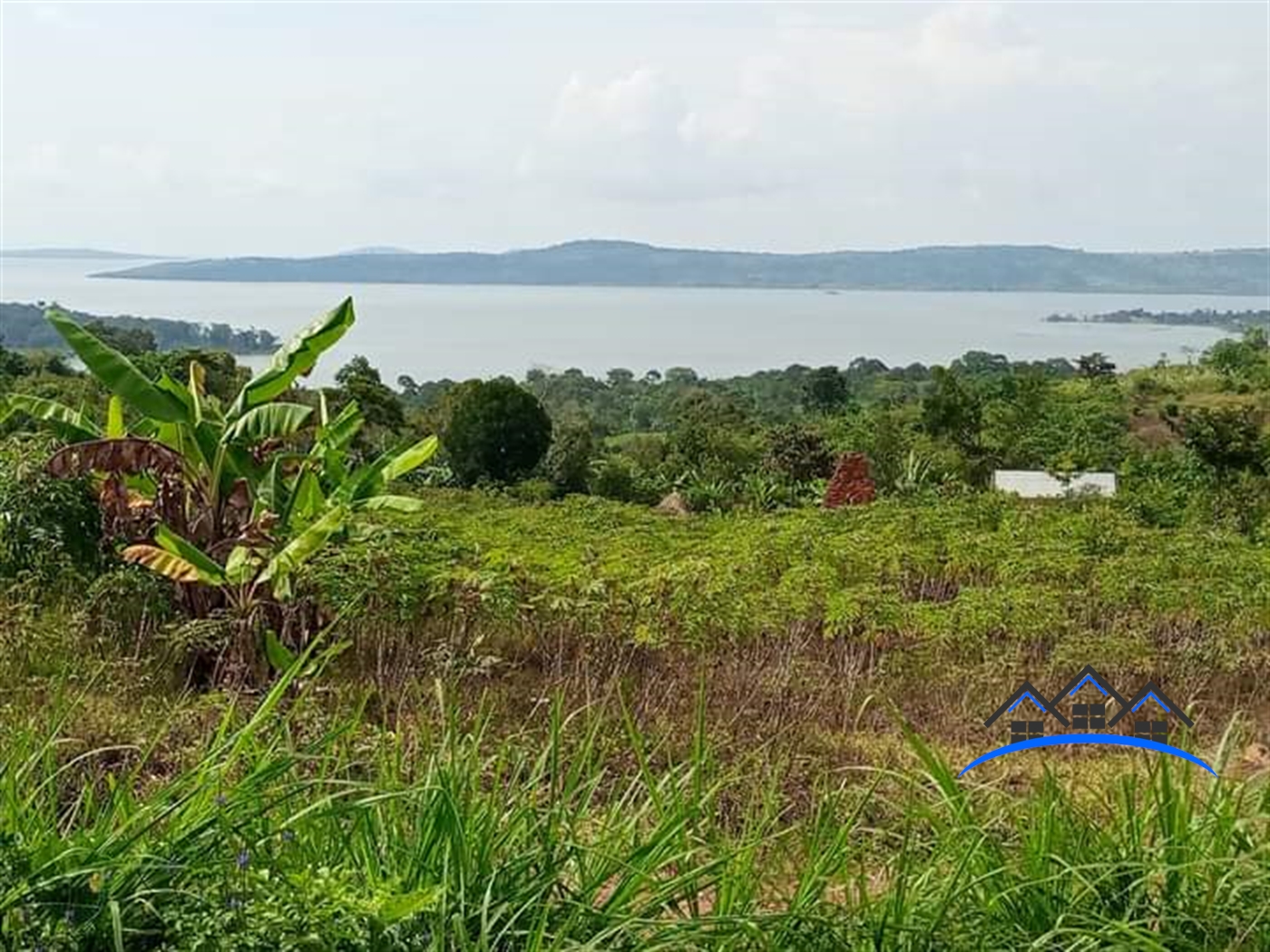 Agricultural Land for sale in Buwooya Iganga