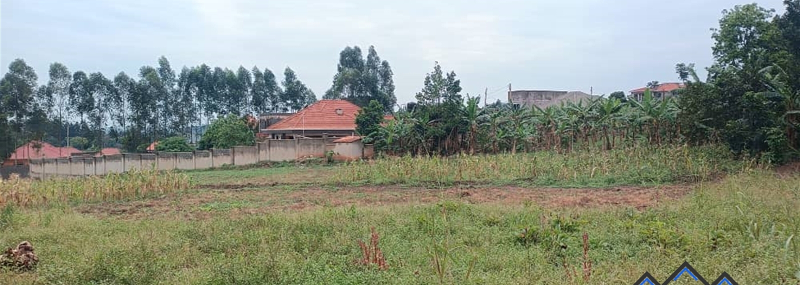 Gayaza