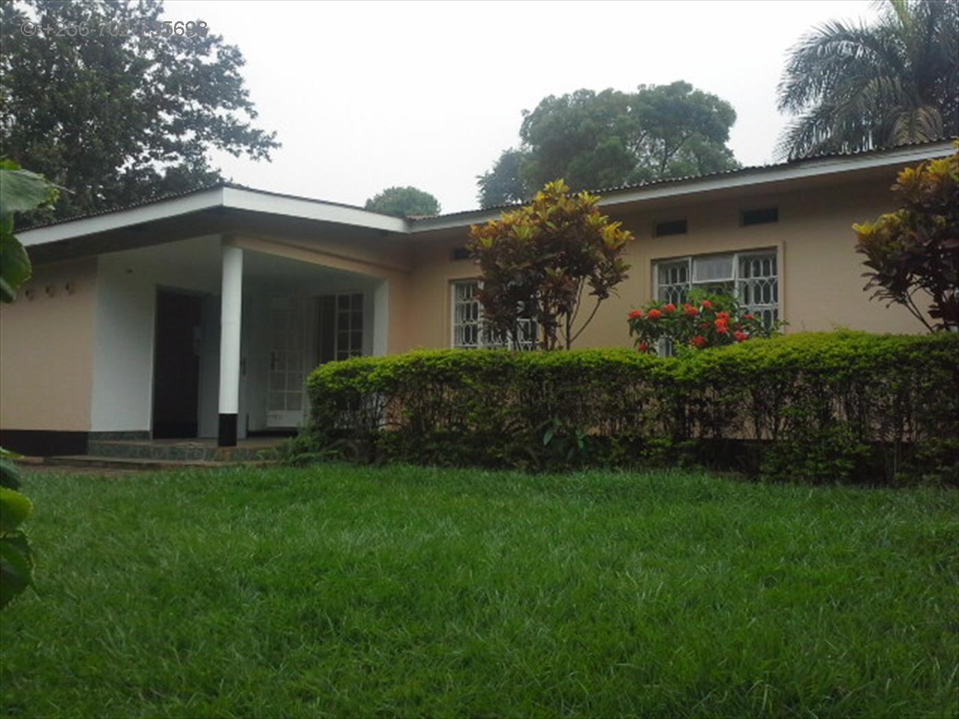 Bungalow for rent in Bugoloobi Kampala