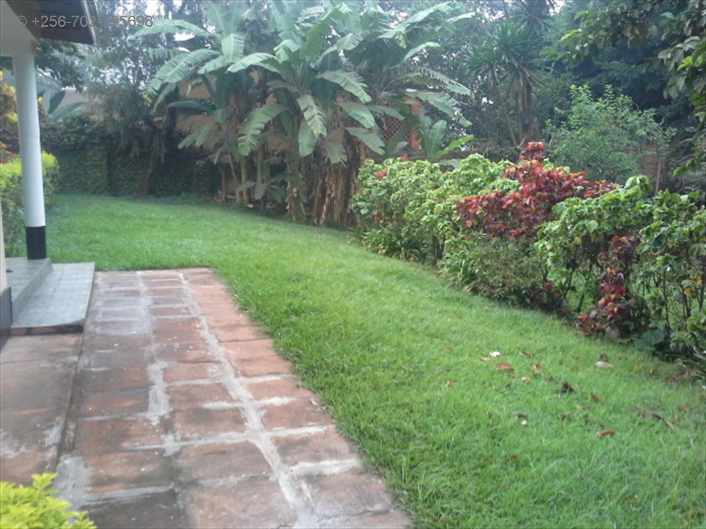 Bungalow for rent in Bugoloobi Kampala