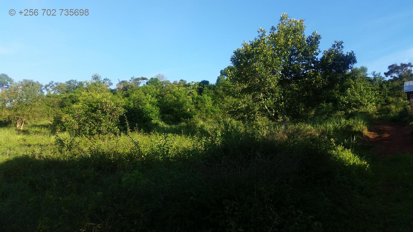 Residential Land for sale in Kyetume Mukono