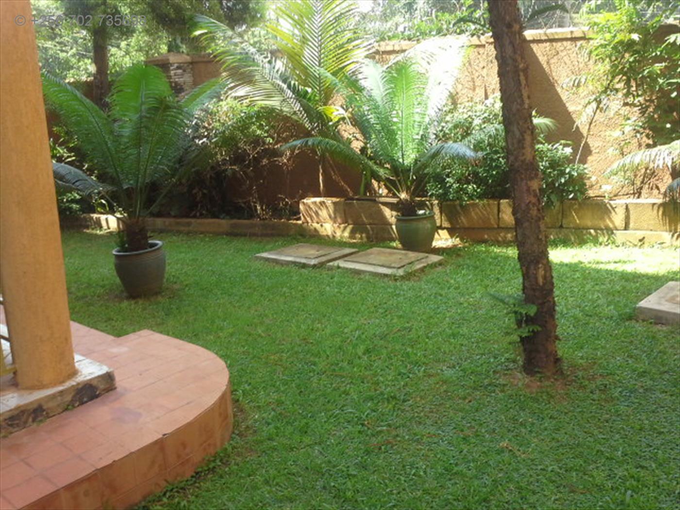 Apartment for rent in Muyenga Kampala