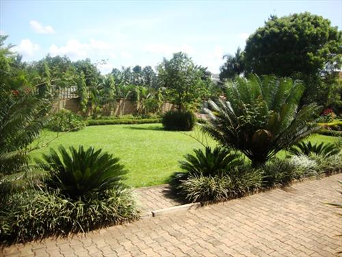 Apartment for rent in Kololo Kampala