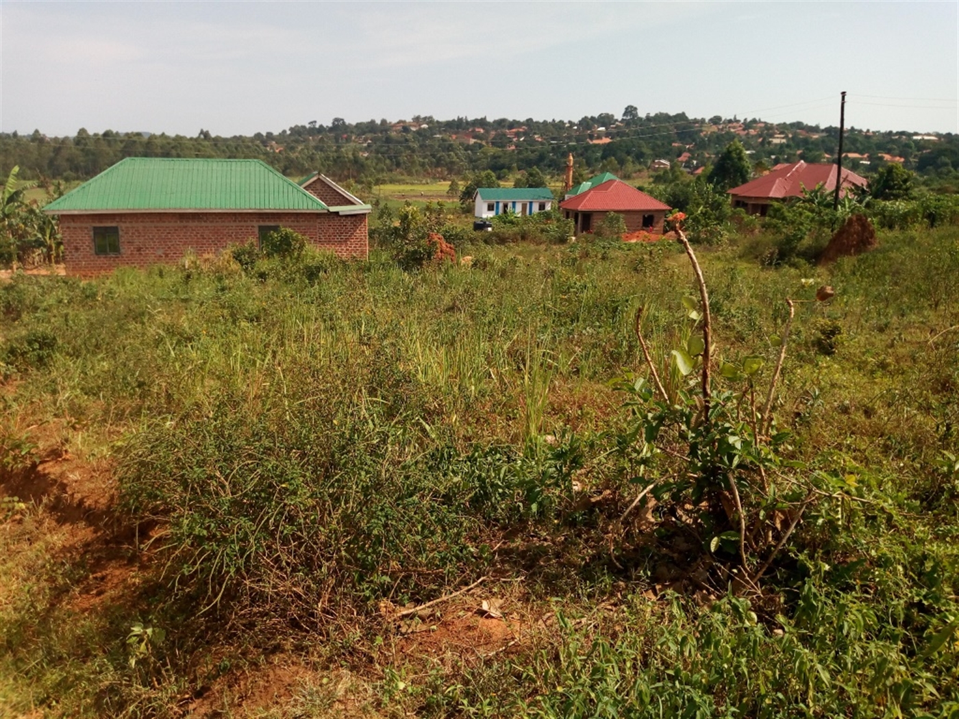 Residential Land for sale in Nkoowe Wakiso