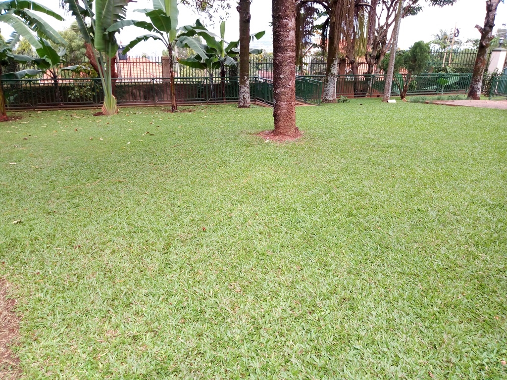 Bungalow for rent in Naguru Kampala