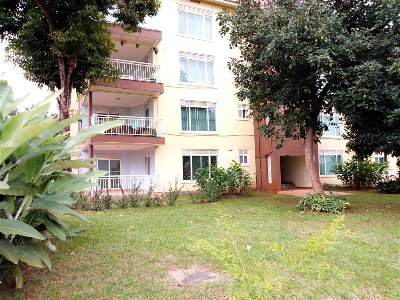 Apartment for rent in Muyenga Kampala