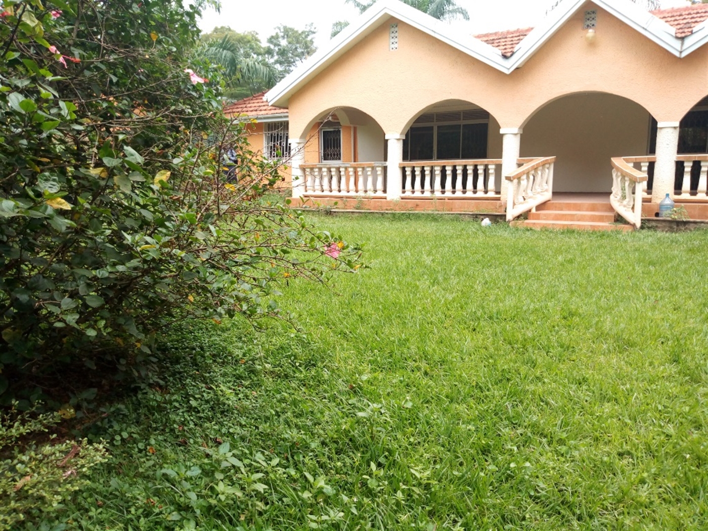 Bungalow for rent in Kololo Kampala