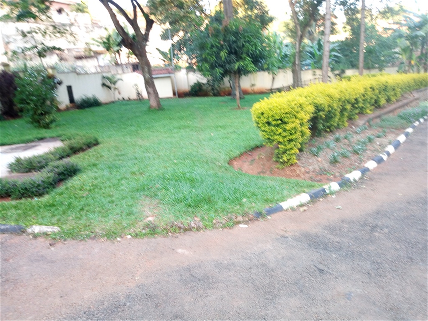 Apartment for rent in Naguru Kampala