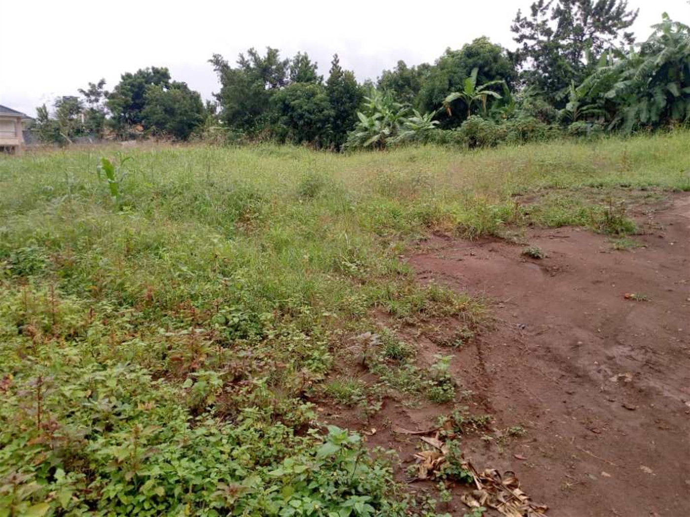 Multipurpose Land for sale in Munyonyo Kampala