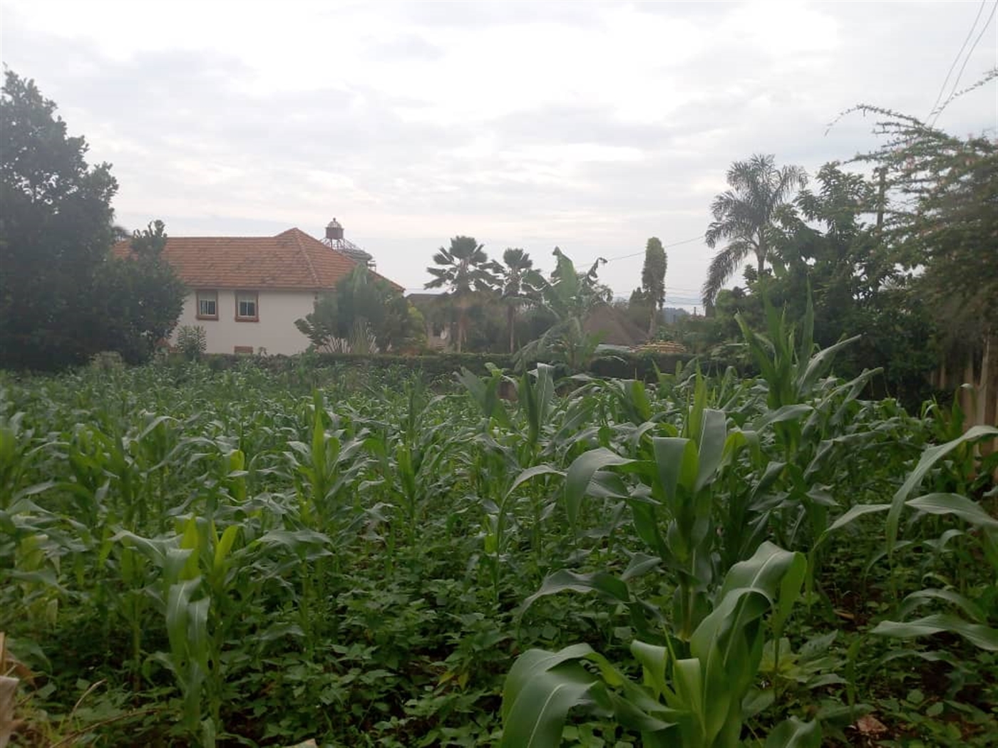 Multipurpose Land for sale in Munyonyo Kampala