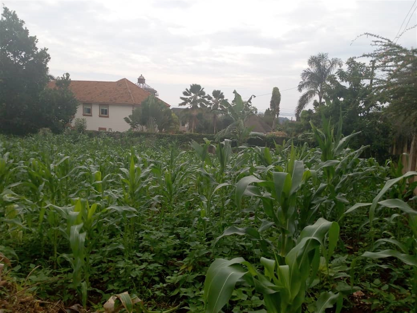 Multipurpose Land for sale in Munyonyo Kampala