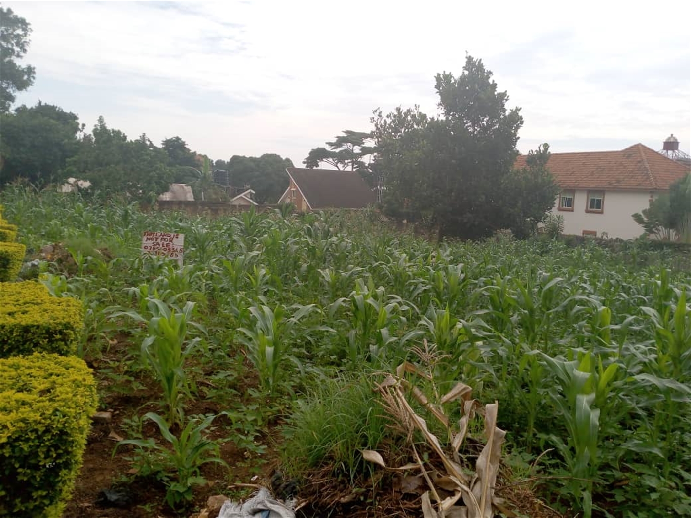 Multipurpose Land for sale in Munyonyo Kampala