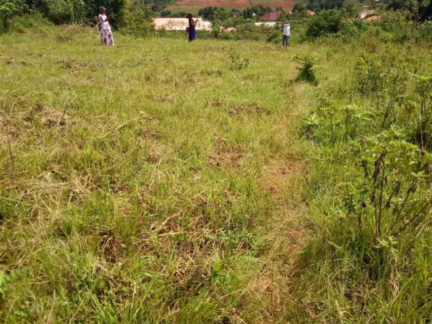 Multipurpose Land for sale in Namugongo Wakiso