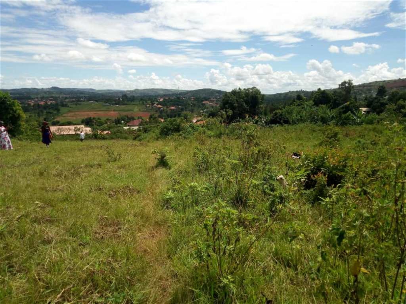 Multipurpose Land for sale in Namugongo Wakiso