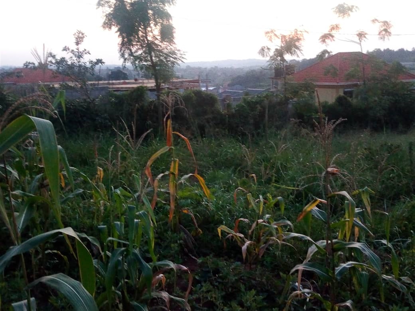 Multipurpose Land for sale in Sonde Wakiso