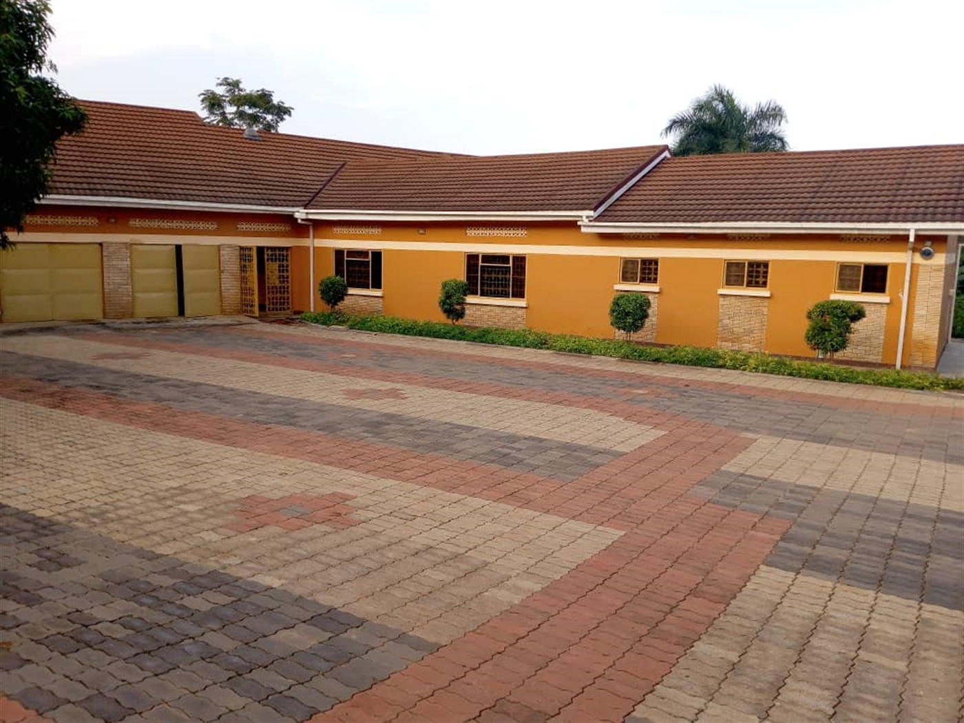 Bungalow for rent in Mnyonyou Kampala