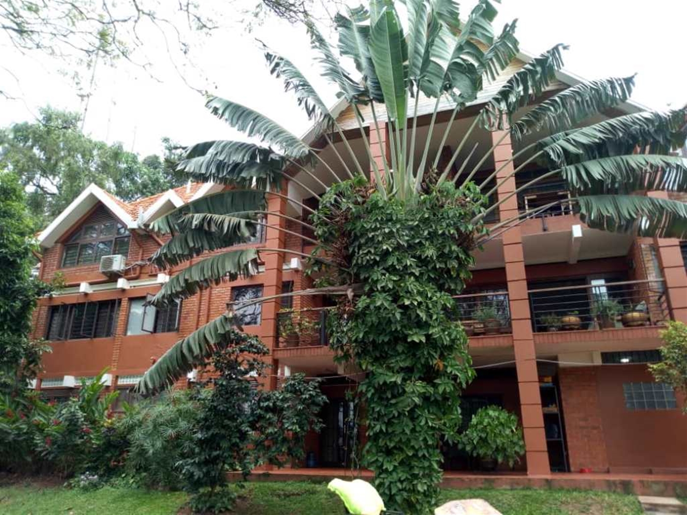 Apartment for rent in Kololo Kampala