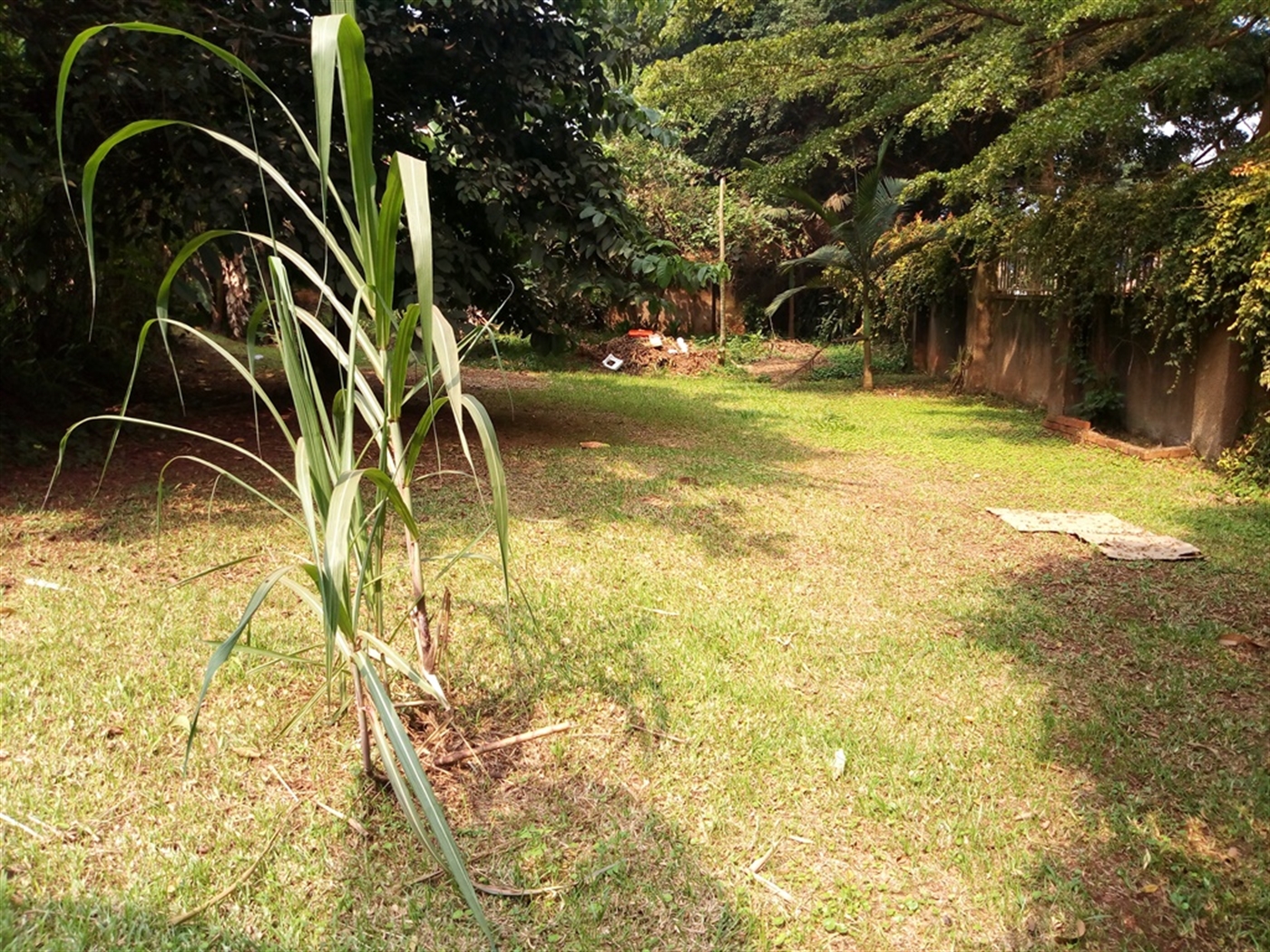 Residential Land for sale in Mbuya Kampala