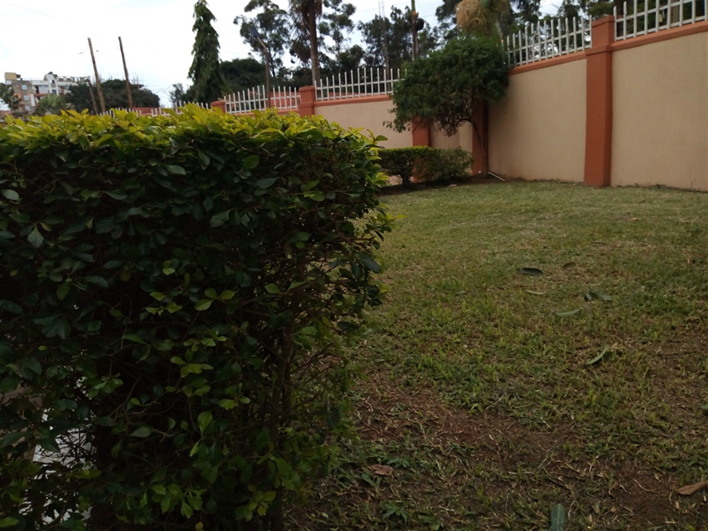 Mansion for rent in Bugoloobi Kampala