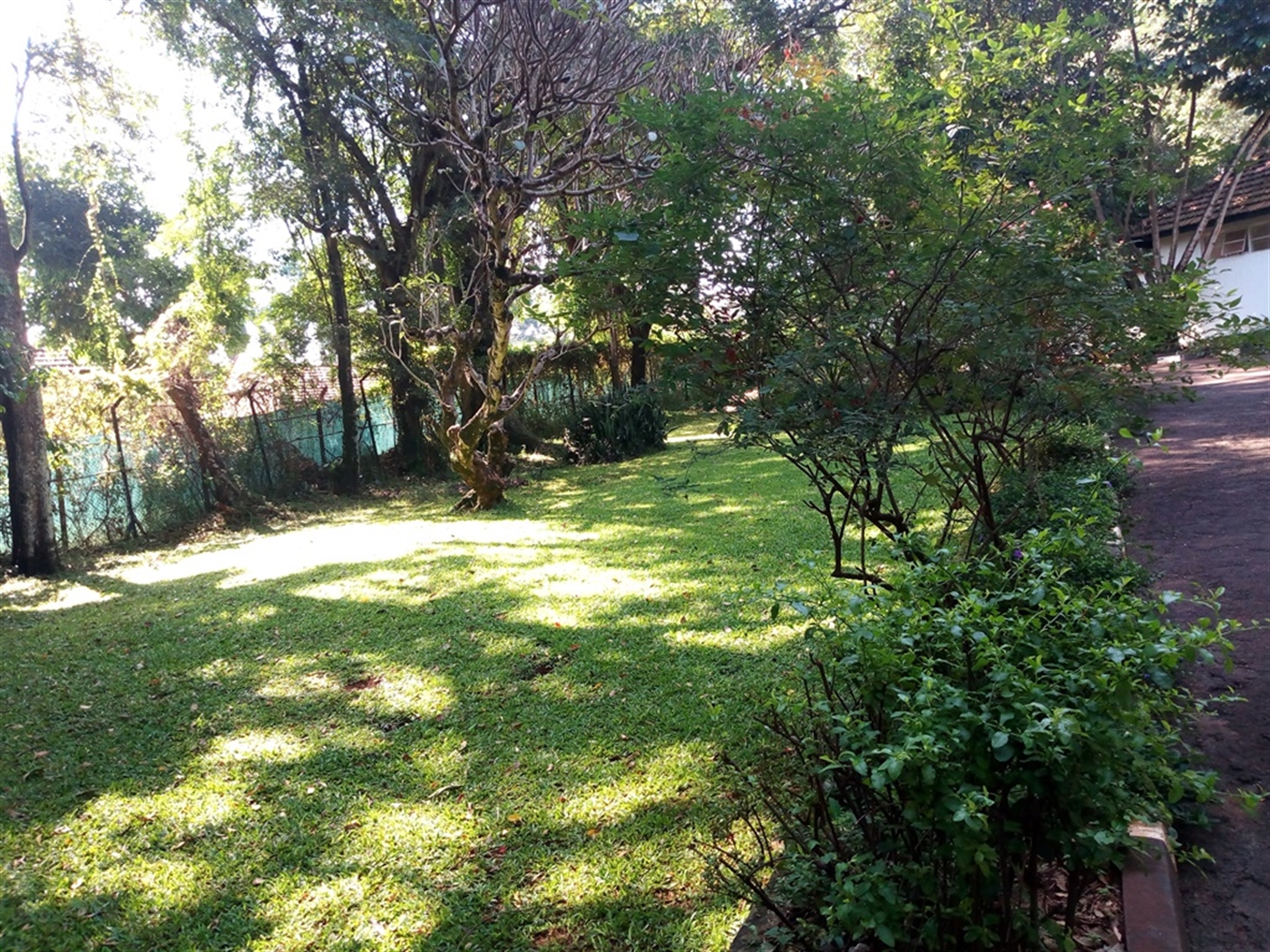 Bungalow for rent in Kololo Kampala