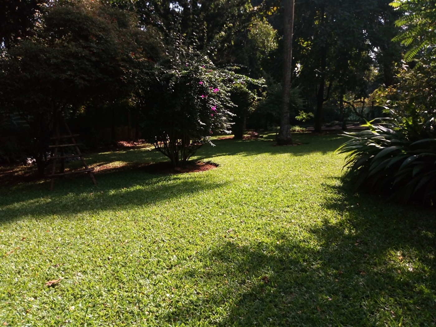 Bungalow for rent in Kololo Kampala