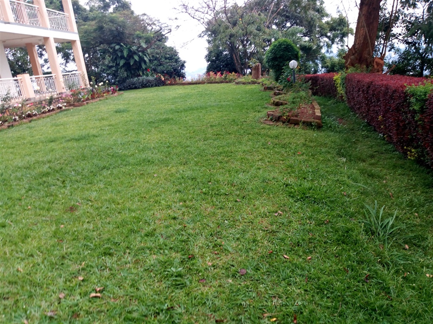 Mansion for rent in Kololo Kampala