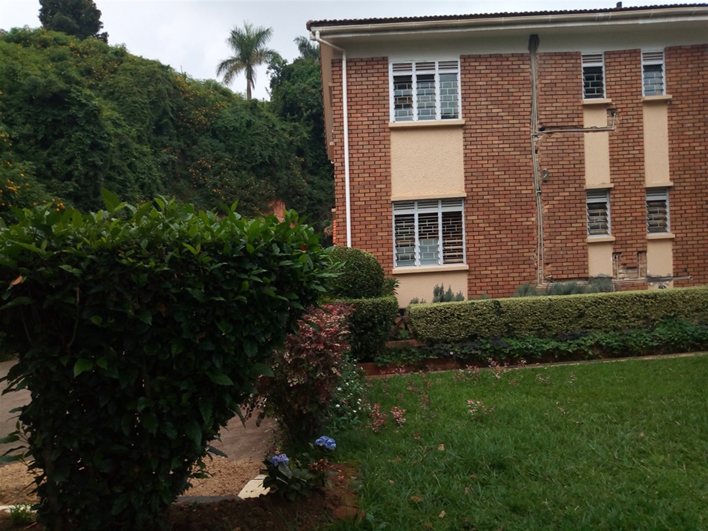 Mansion for rent in Kololo Kampala