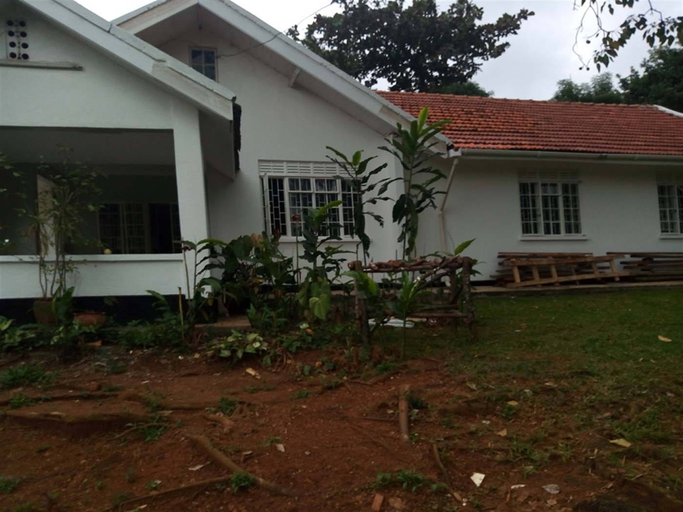 Bungalow for rent in Kololo Kampala